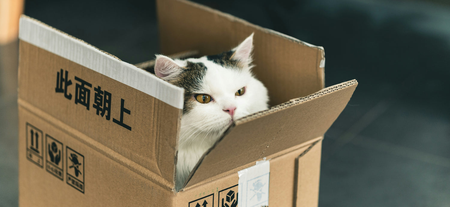 Updated Shipping and Returns Policy