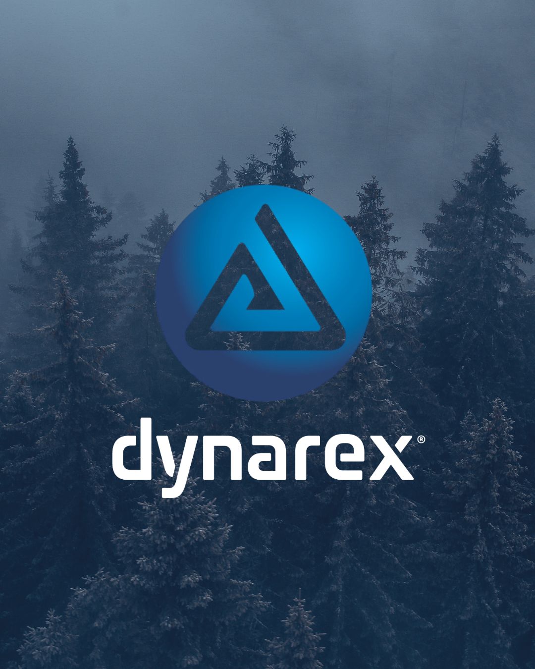 Coalition Tattoo Supply